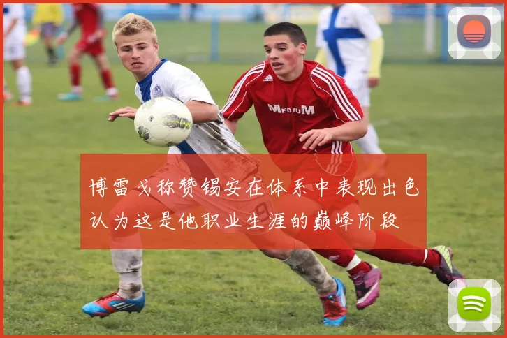 博雷戈称赞锡安在体系中表现出色认为这是他职业生涯的巅峰阶段
