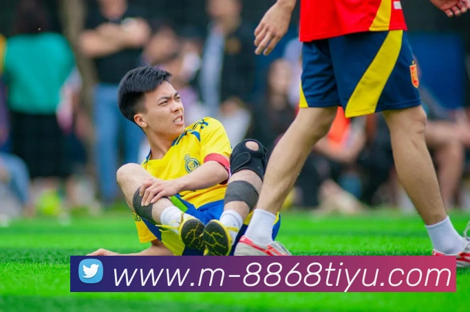 多媒体互动体验