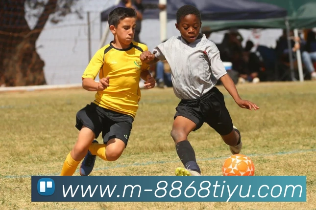 8868体育APP 体育赛事宣传图