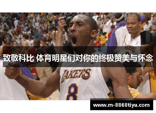 致敬科比 体育明星们对你的终极赞美与怀念