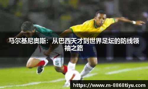 8868体育官网
